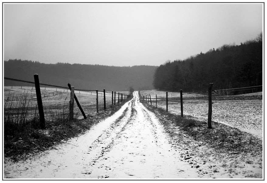 der weg _