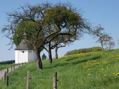 der weg.......... frühling im bergischen II