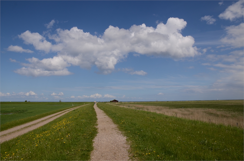 der Weg führt.....