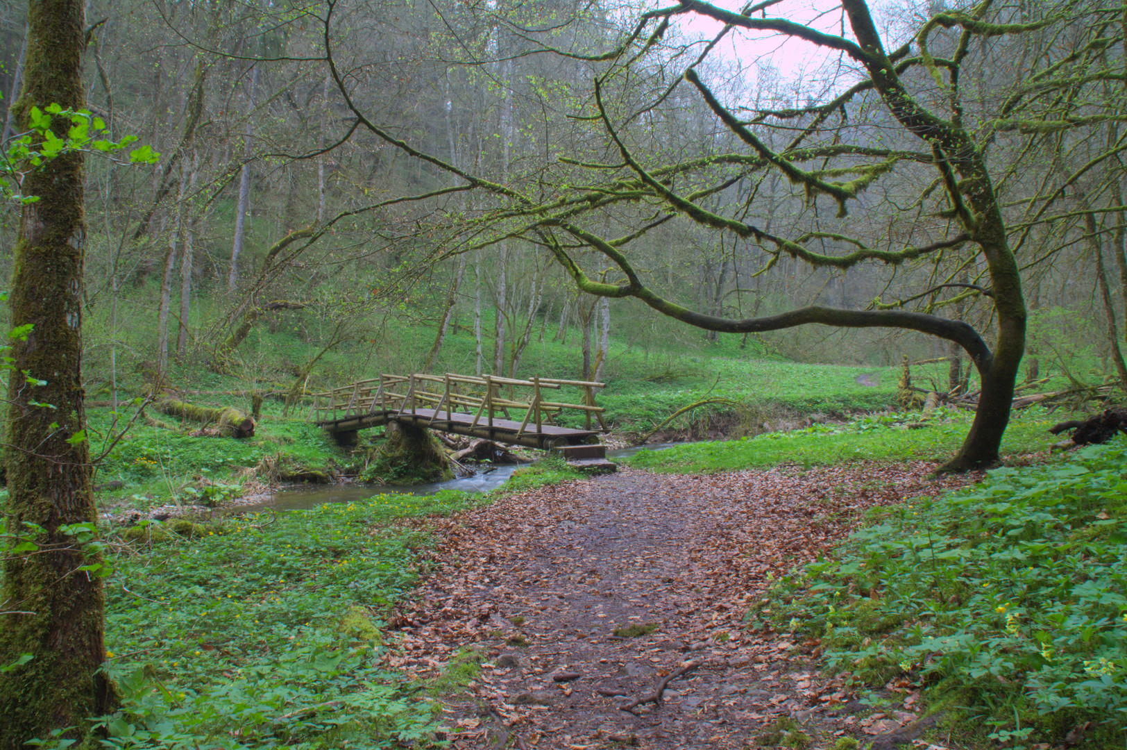 Der Weg führt ans Ziel