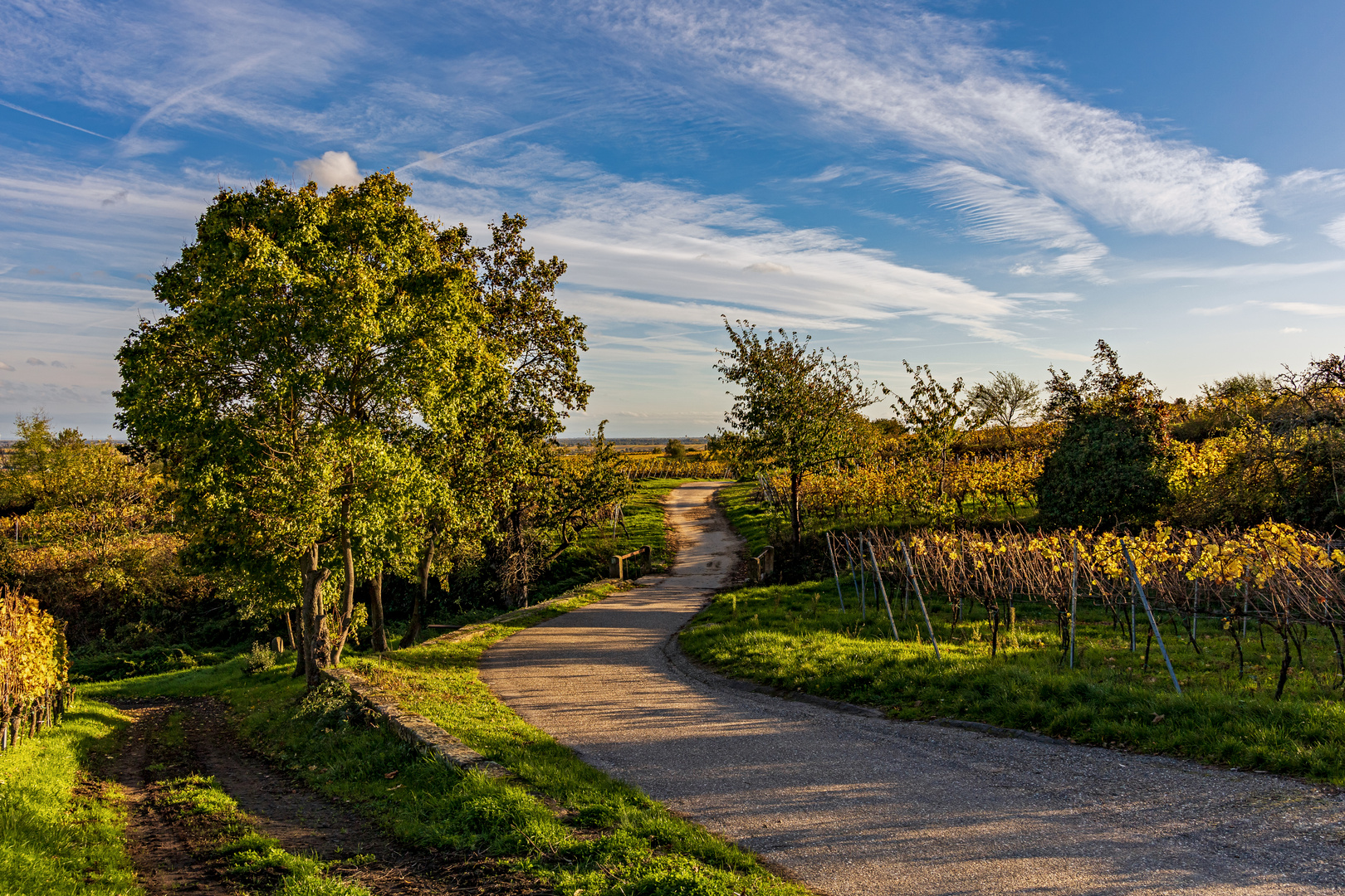 Der Weg führt in den Herbst