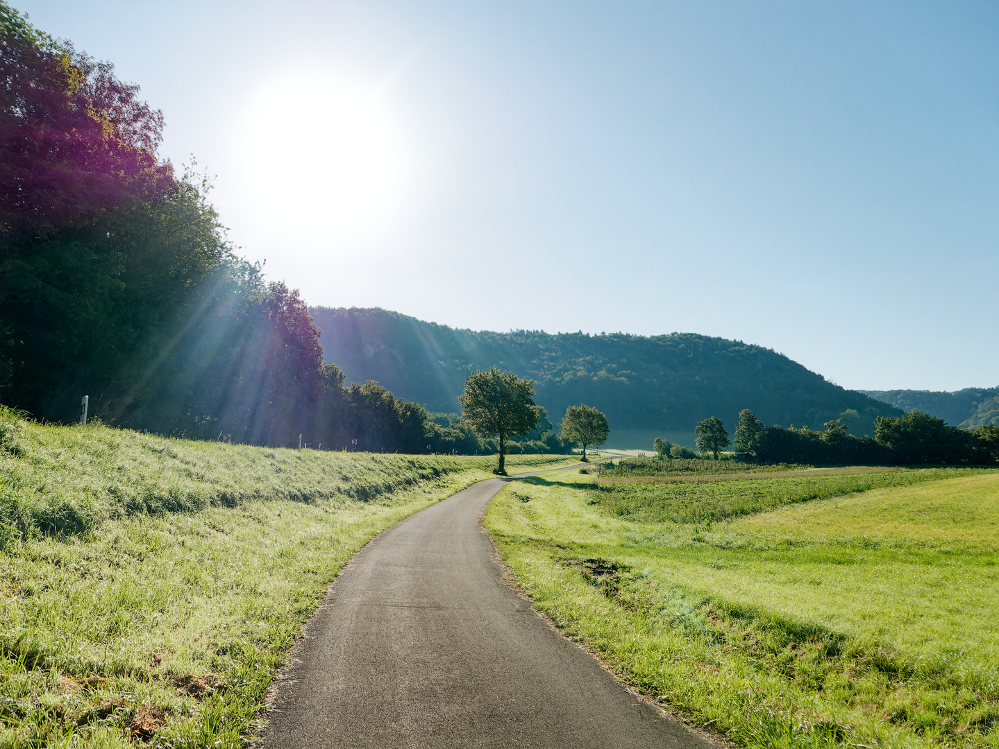 Der Weg führt in den Herbst...