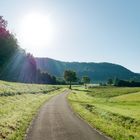 Der Weg führt in den Herbst...