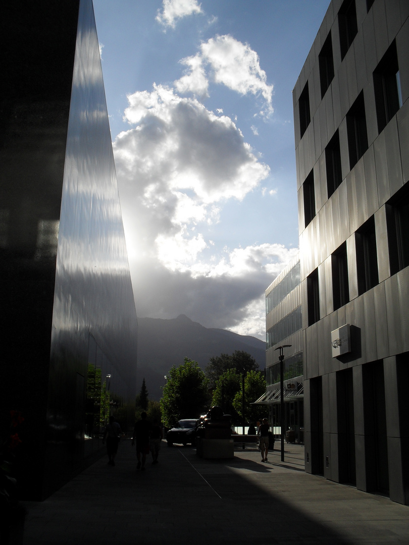 der Weg führt ins Licht