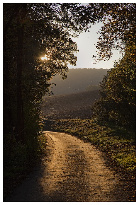 Der Weg führt wieder ins Licht