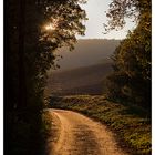 Der Weg führt wieder ins Licht