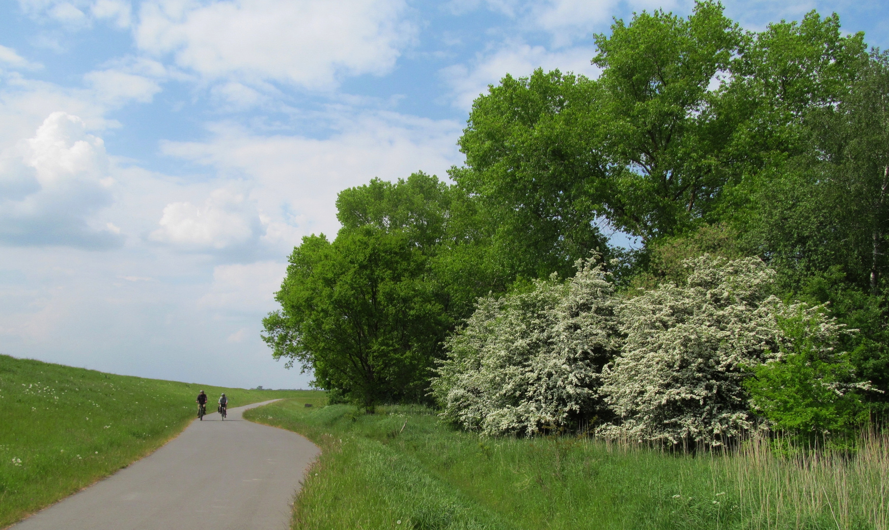 der Weg führt zum Ziel 