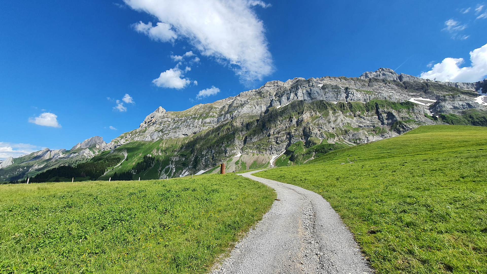 Der Weg führt zum Ziel