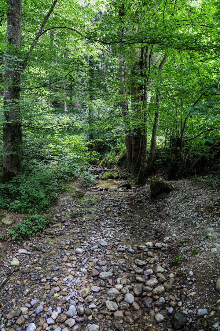 Der Weg führte uns...