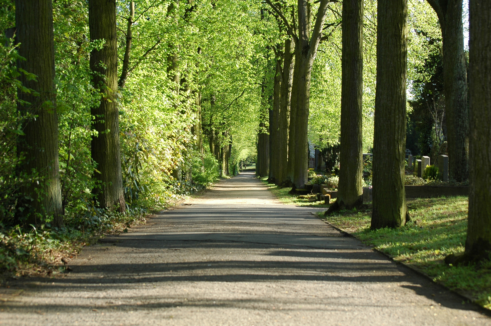 Der Weg für alle.