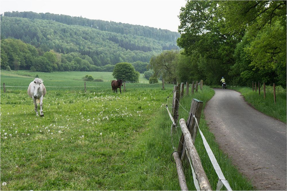 Der Weg geht weiter...