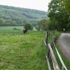 Der Weg geht weiter...