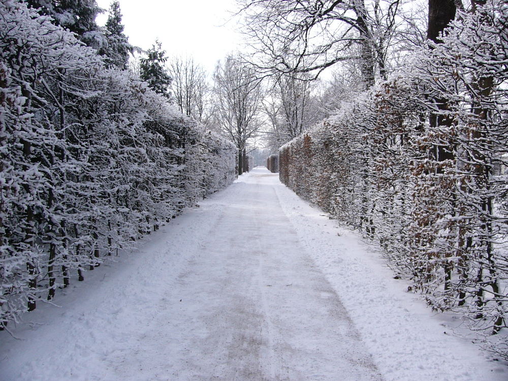 der Weg - geradlinig - kalt und leer