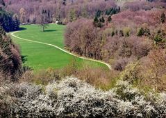 der Weg (gestern Vormittag)