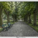 Der Weg (HDR)