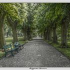 Der Weg (HDR)