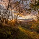 Der Weg hinab in den Sonnenuntergang...