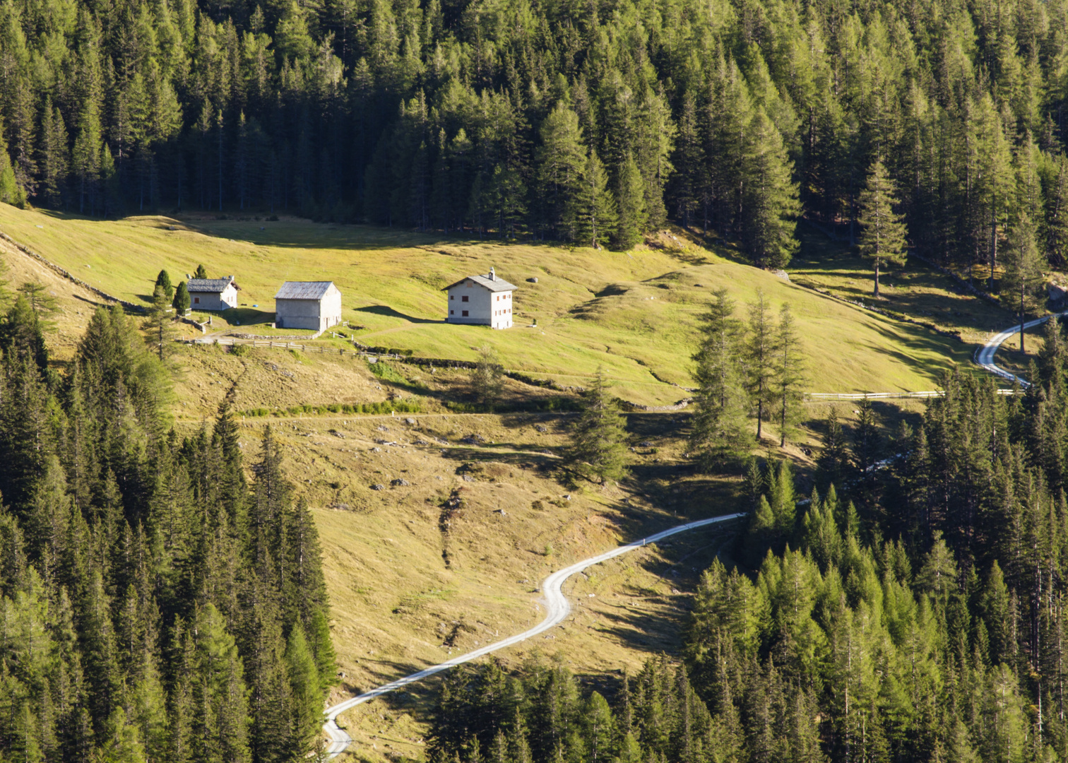 Der Weg hinauf