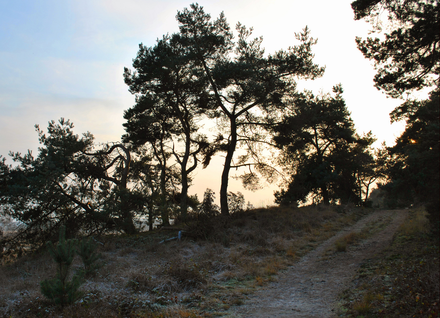 Der Weg hinauf