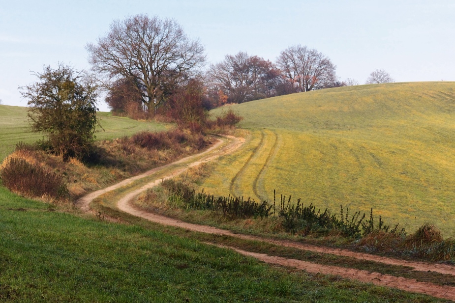 Der Weg hinauf