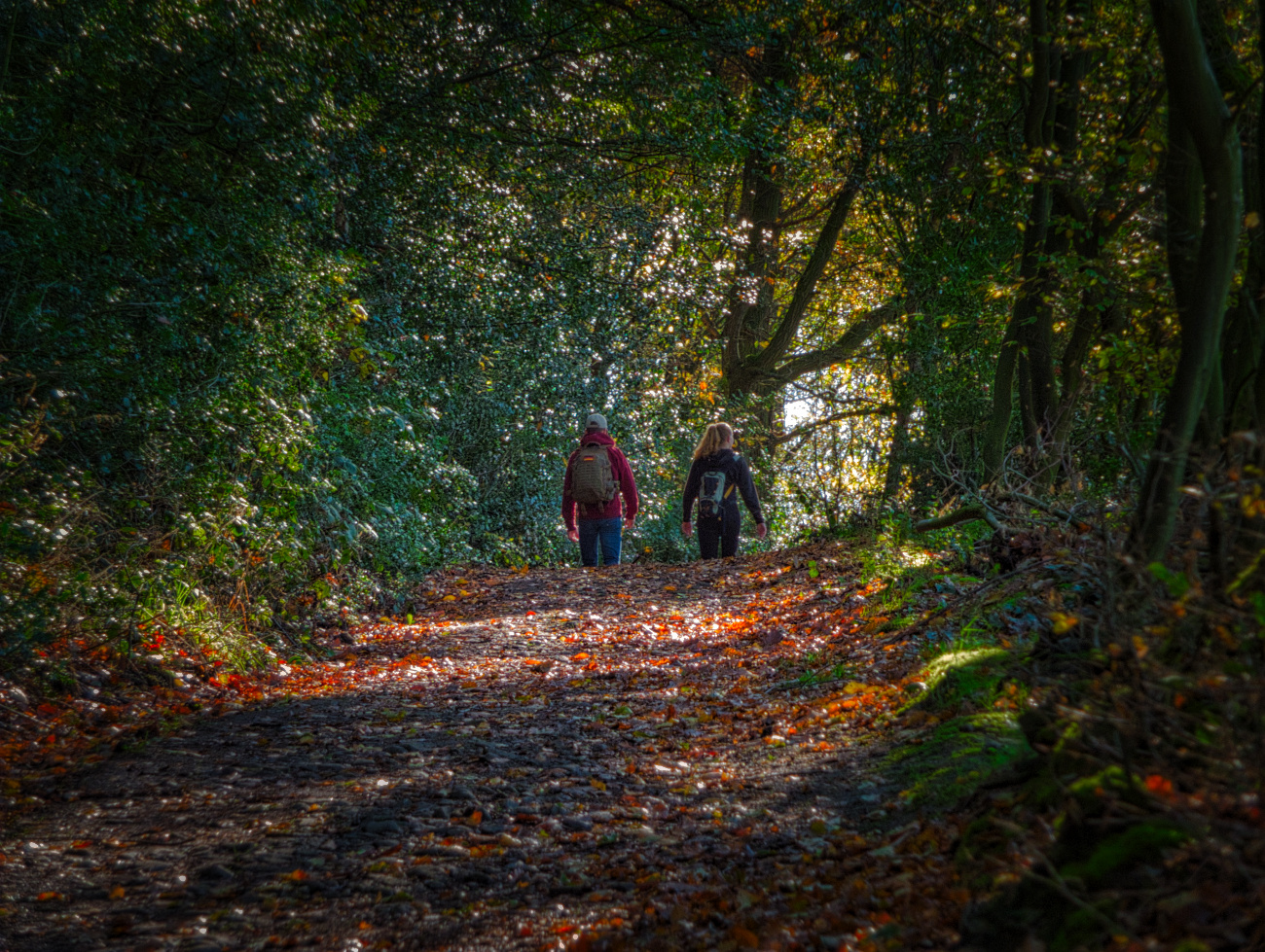 Der Weg hinein...