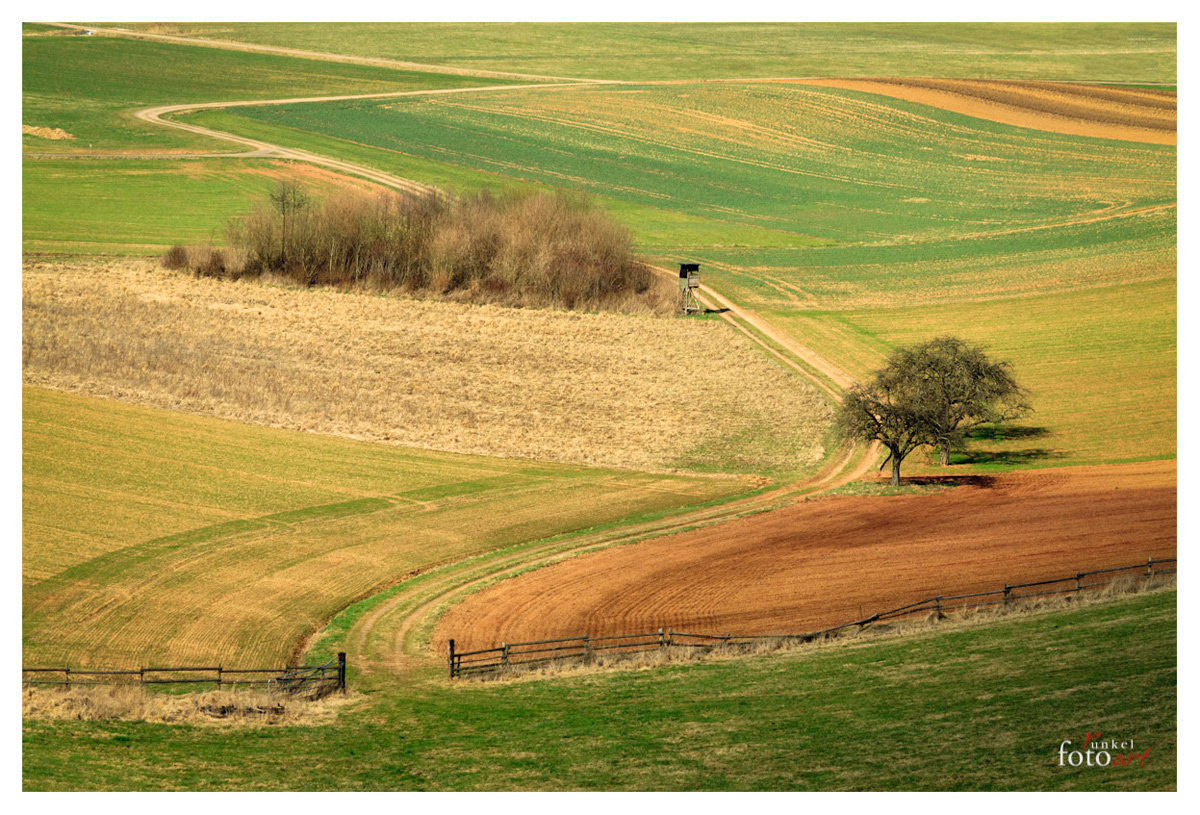 Der Weg I