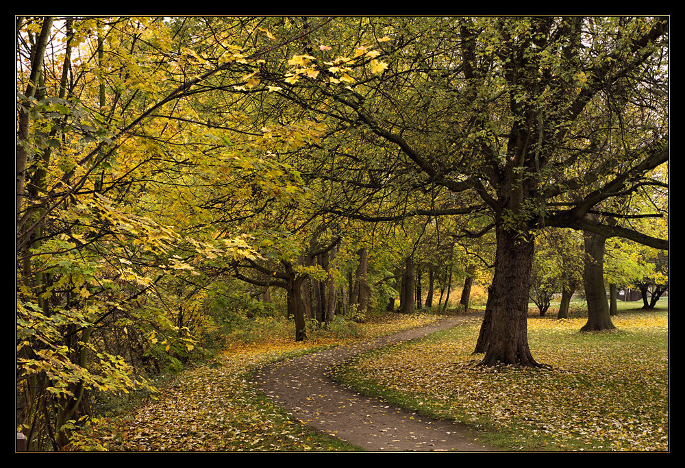 Der Weg im Herbst