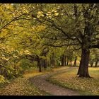 Der Weg im Herbst