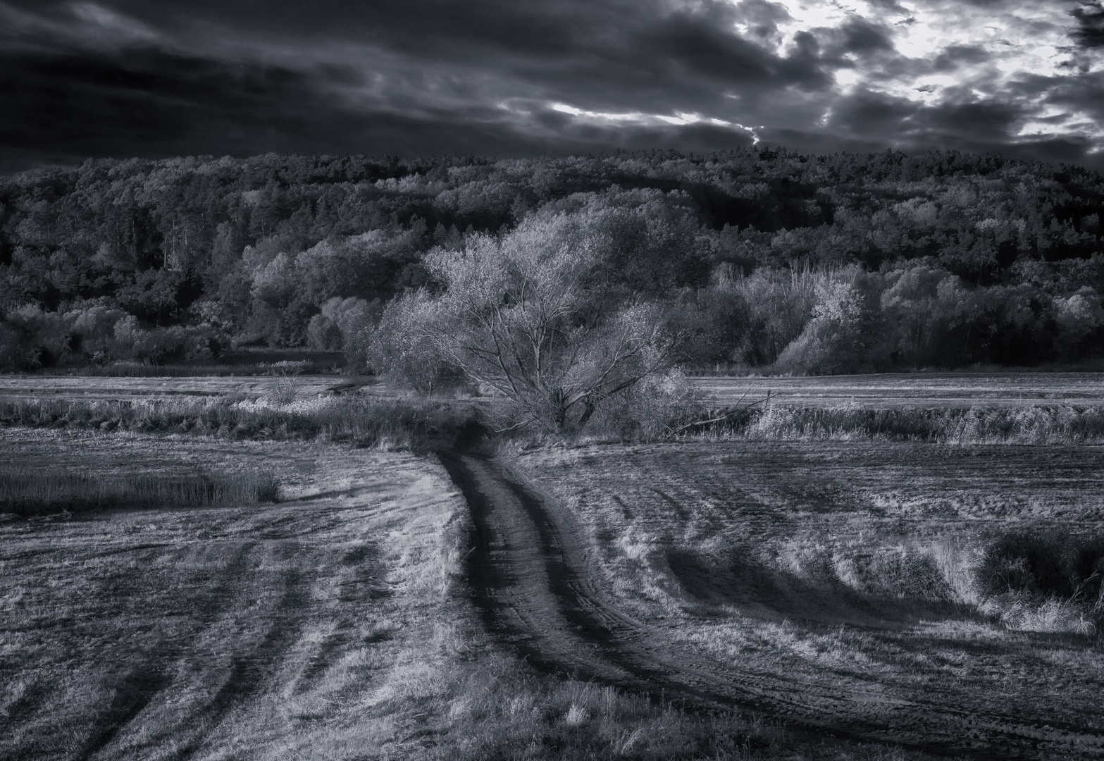 Der Weg im Herbst