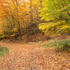 Der Weg im Herbst