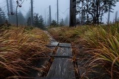 Der Weg im Nebel