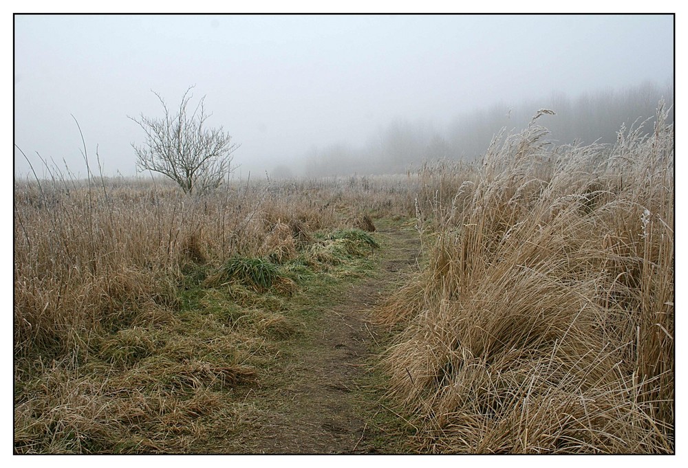 Der Weg im Nebel