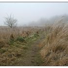 Der Weg im Nebel