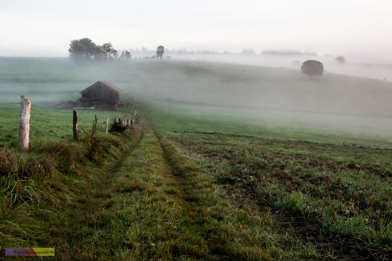 der Weg im Nebel