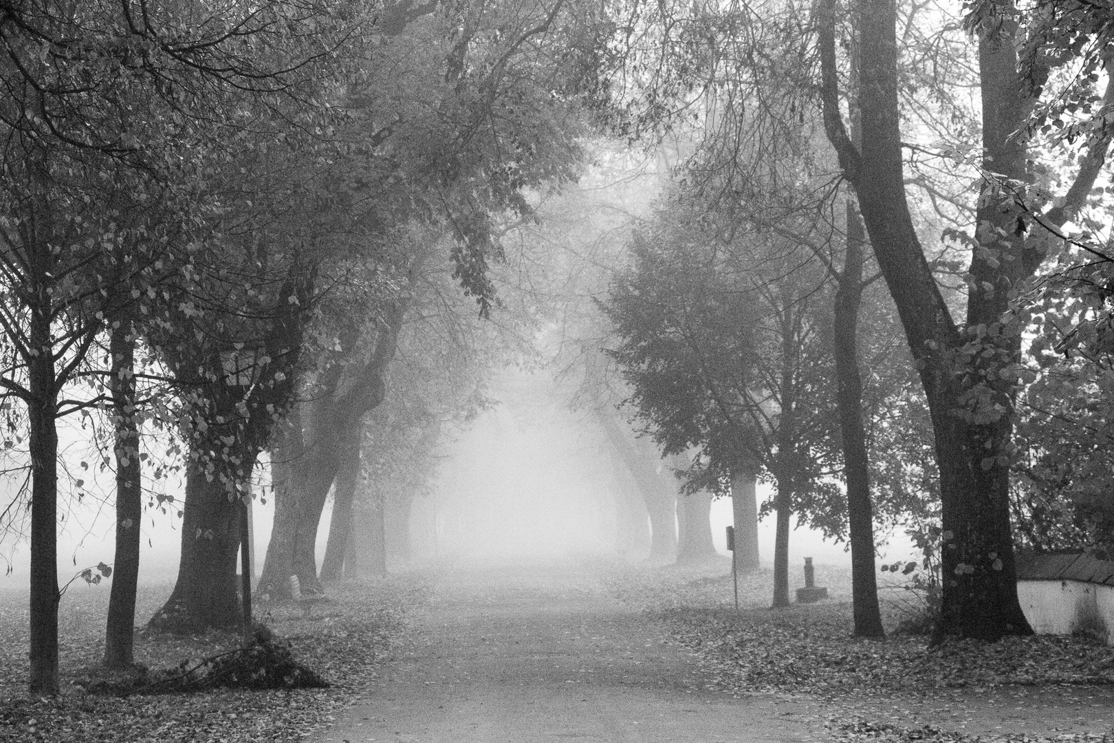 Der Weg im Nebel