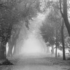 Der Weg im Nebel