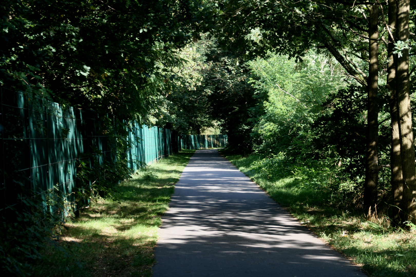 Der Weg im Schatten