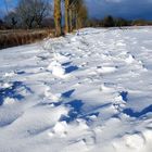 Der Weg im Schnee