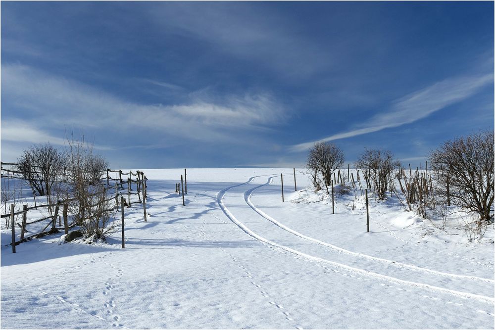 Der Weg im Schnee....