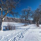 der Weg im Schnee