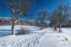 der Weg im Schnee