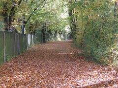 Der Weg im Stadtpark