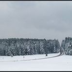 Der Weg im Winter...