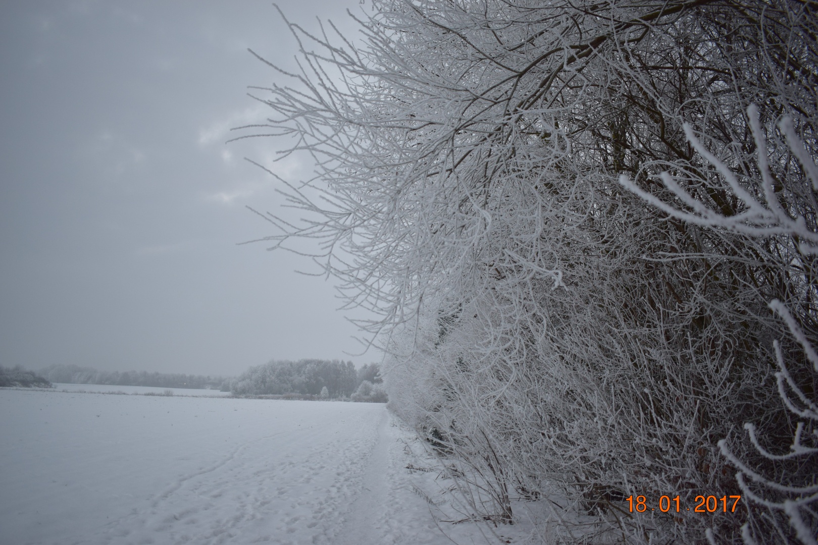 Der weg im Winter