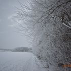 Der weg im Winter