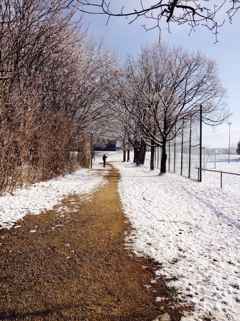 """ Der Weg im Winter """