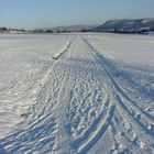 Der Weg im Winter (Es gibt kein Weg zurück)