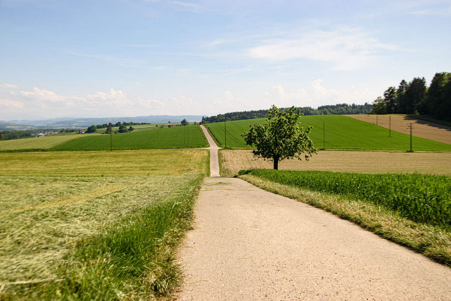 der Weg in alle Richtungen