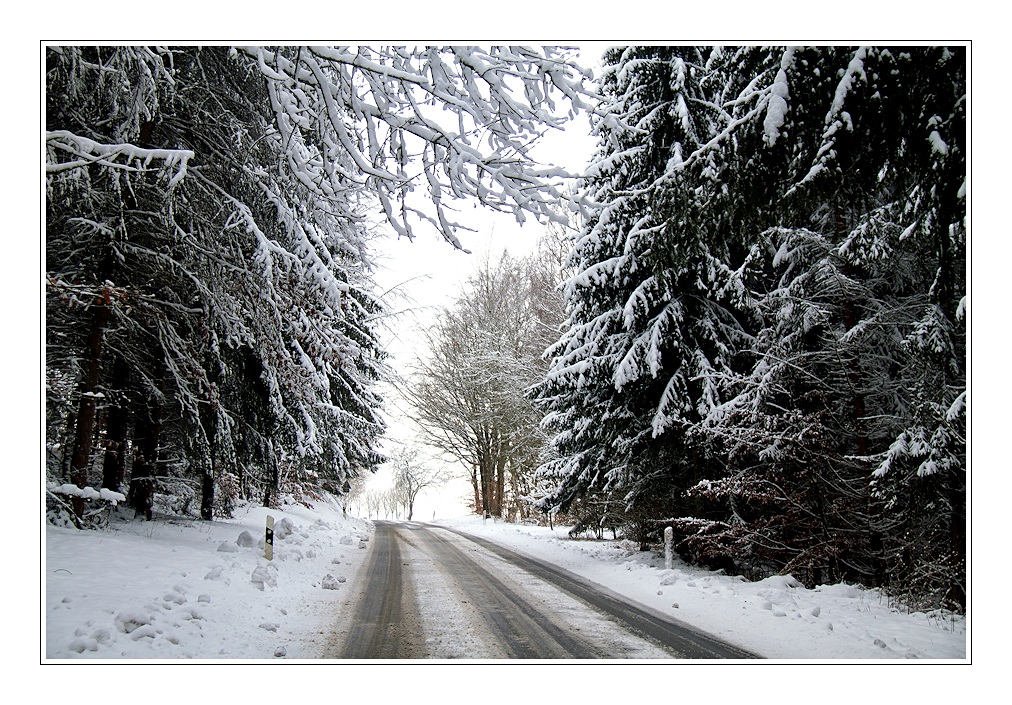 der weg in das jahr 2017