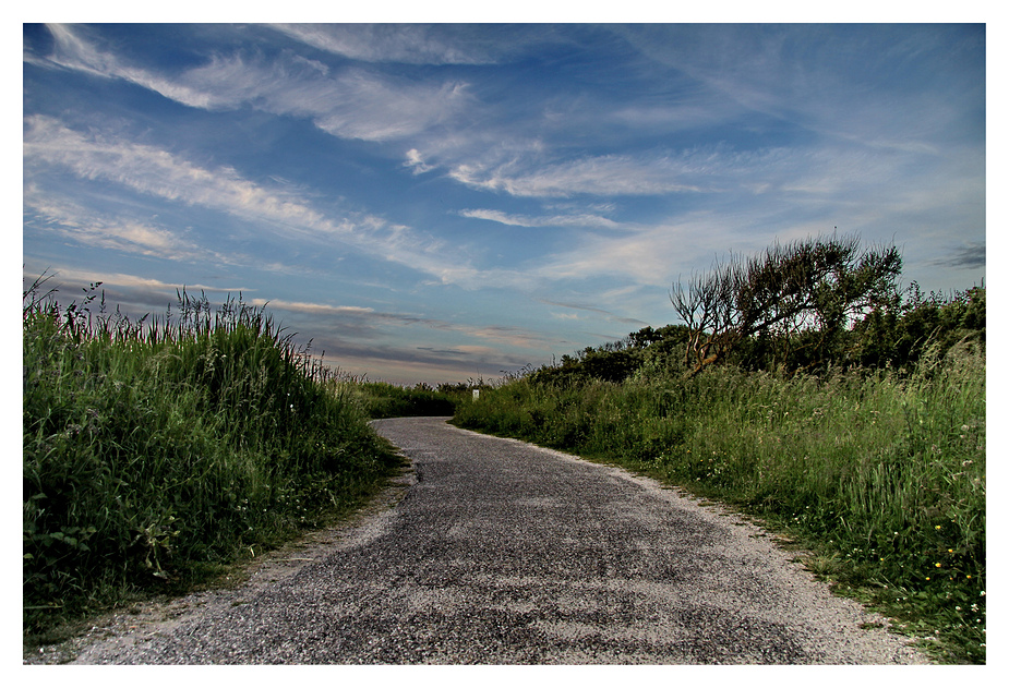 Der Weg in den Dünen